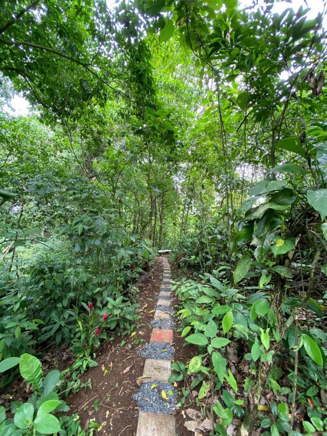 Gambas Lodge La Fortuna Dış mekan fotoğraf