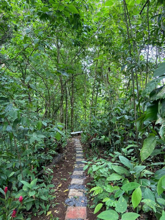 Gambas Lodge La Fortuna Dış mekan fotoğraf