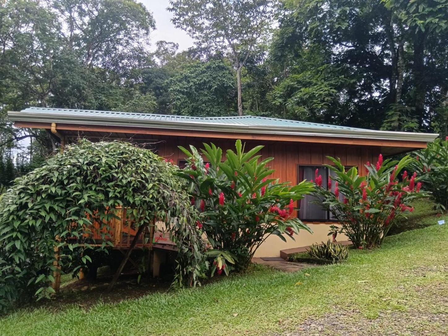 Gambas Lodge La Fortuna Dış mekan fotoğraf
