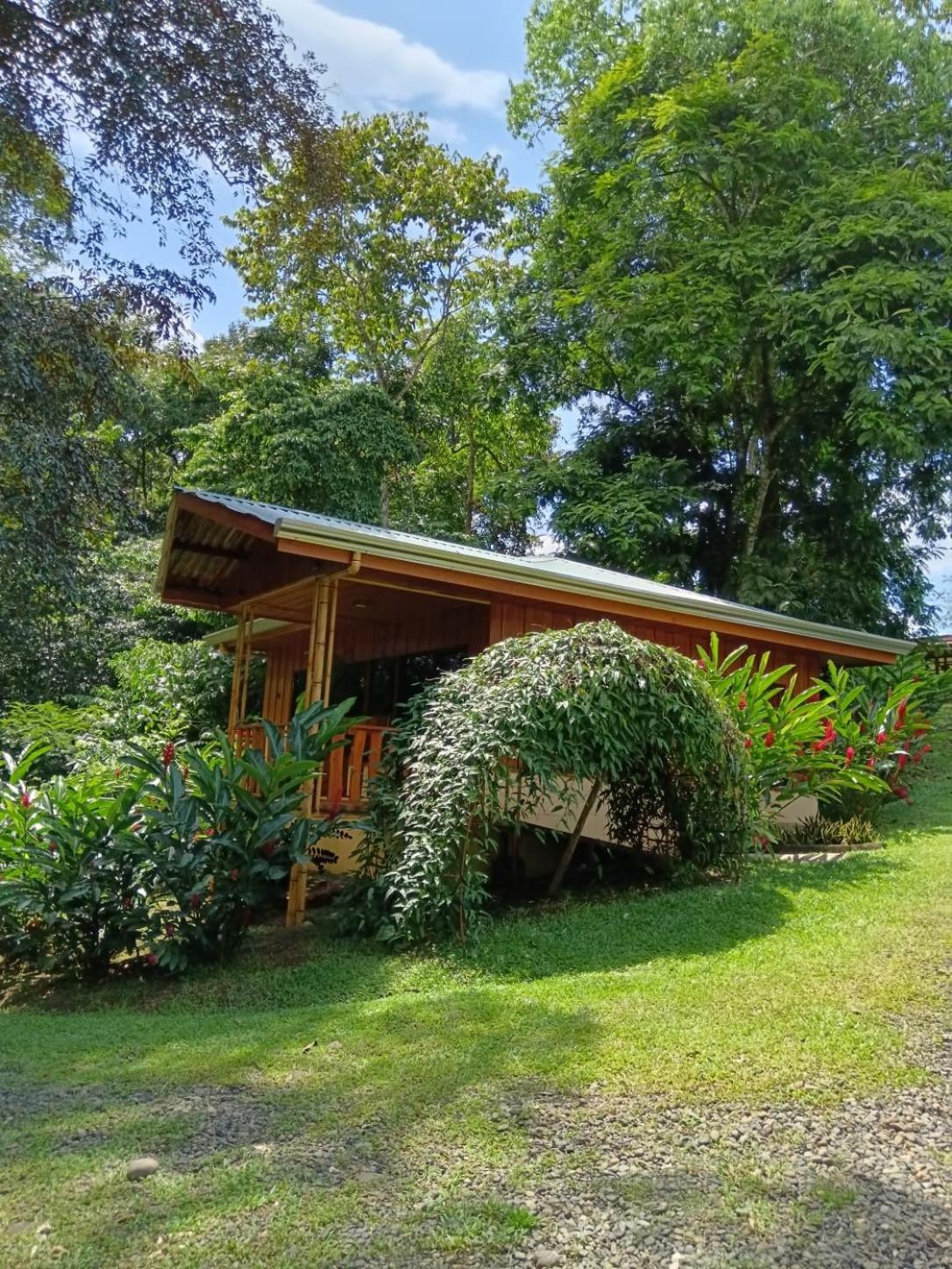 Gambas Lodge La Fortuna Dış mekan fotoğraf